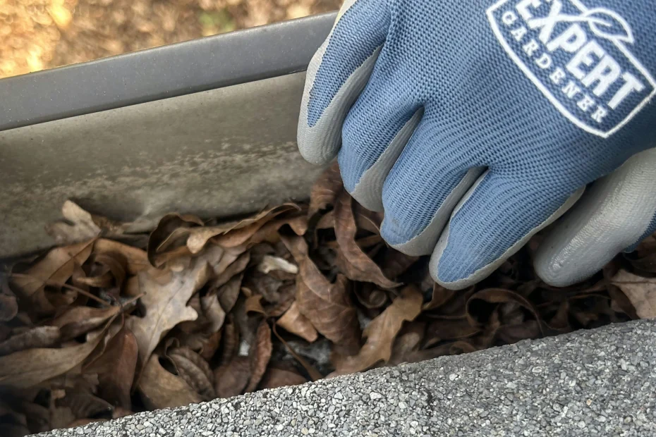 Gutter Cleaning Oak Ridge North, TX